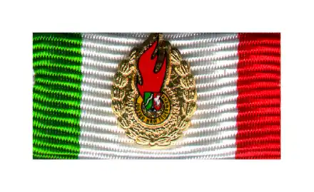 NRW Jugendfeuerwehr-Ehrennadel Gold