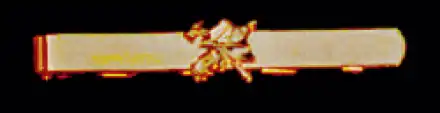 Krawattenclip - Helm-Emblem- goldfarbig