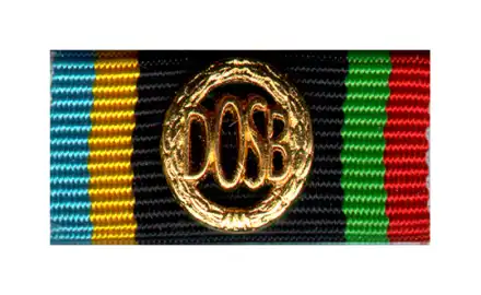 DOSB Sportabzeichen gold