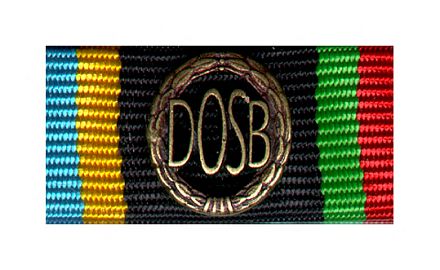 DOSB Sportabzeichen bronze