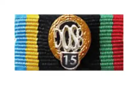 DOSB Sportabzeichen gold 15. Wiederholung