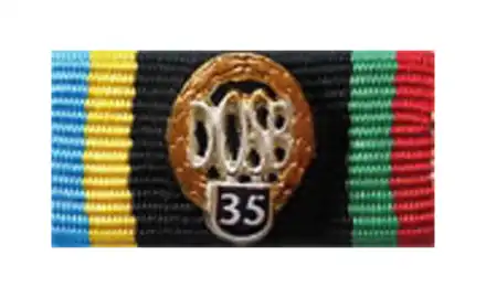 DOSB Sportabzeichen gold 35. Wiederholung