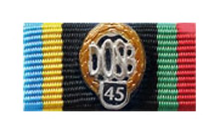 DOSB Sportabzeichen gold 45. Wiederholung