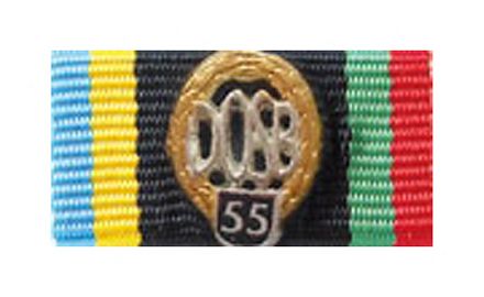 DOSB Sportabzeichen gold 55. Wiederholung