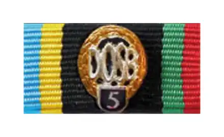 DOSB Sportabzeichen gold  5.Wiederholung 