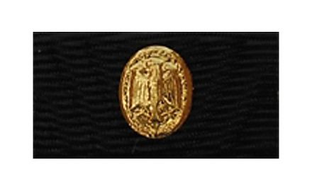 Bundeswehr-Leistungsabzeichen Gold 