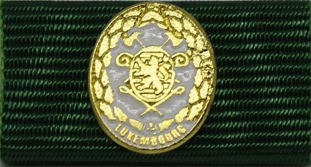 Leistungsabzeichen Luxemburg gold 