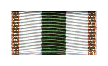 Sachsen Feuerwehrehrenzeichen am Band Bronze