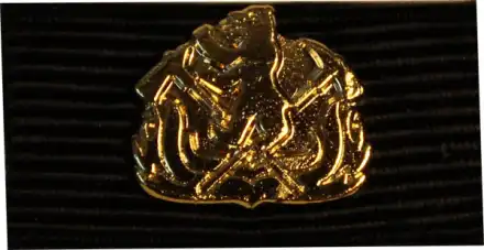 Berlin LFV Ehrenzeichen Sonderstufe 