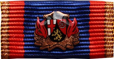 Rh.-Pf. Ehrennadel LFV bronze