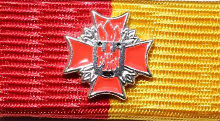 LFV Burgenland Feuerwehr-Verdienstzeichen Silber