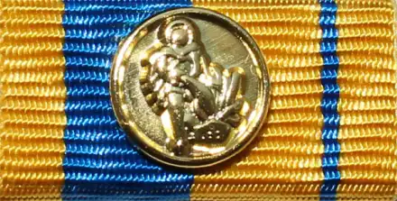 Niederösterreichischer LFV Medaille für internationale Feuerwehrkameradschaft Gold
