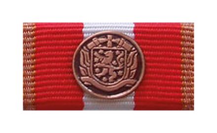 Thüringen LFV Ehrenmedaille bronze 