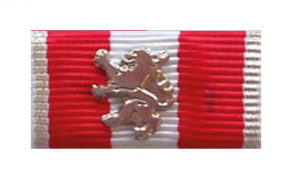 Thüringen Ehrennadel des Landesfeuerwehrverband  