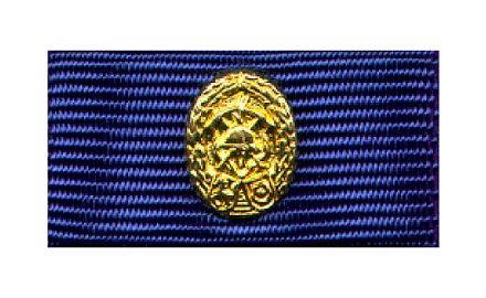 Westf.-Lippe Fw-Leistungsabzeichen Gold