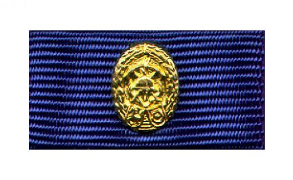 Westf.-Lippe Fw-Leistungsabzeichen Gold