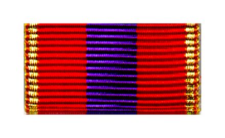 DFV-Medaille für internat. Zusammenarbeit Gold