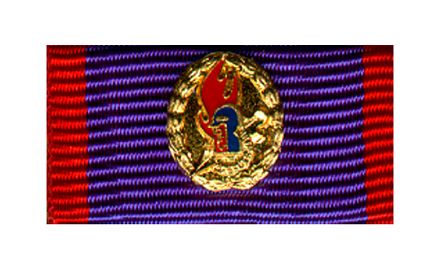 Jugendfeuerwehr-Ehrennadel Gold