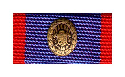 Hessen Feuerwehr-Leistungsabz. Bronze