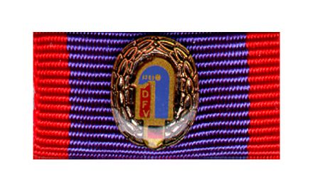 Bundesleistungsabzeichen Bronze