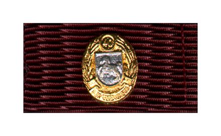 Niedersachsen Feuerwehr-Ehrenzeichen Gold / Silber