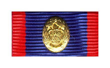 Rh.-Pf. Feuerwehr-Leistungsabzeichen Gold