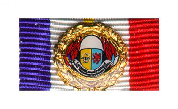 MVP LFV Ehrennadel Gold
