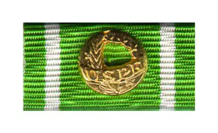 Europäisches Polizei-Leistungsabzeichen Gold