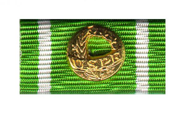 Europäisches Polizei-Leistungsabzeichen Gold
