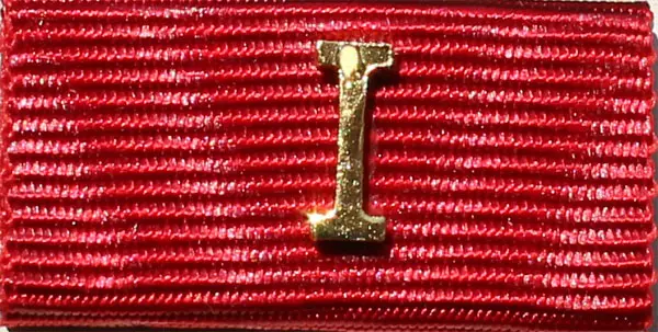 LFV Vorarlberg Verdienstkreuz Gold 