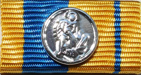 Niederösterreichischer LFV Medaille für internationale Feuerwehrkameradschaft Silber