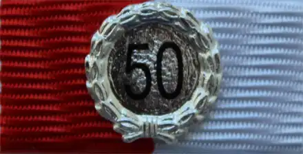 Standard 50 Jahre Silber
