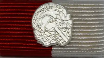 Leistungsabzeichen Alsace Silber