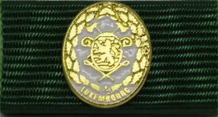 Leistungsabzeichen Luxemburg gold 