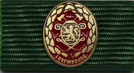 Leistungsabzeichen Luxemburg bronze