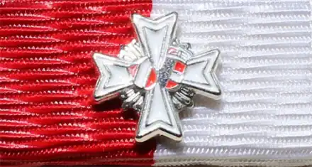 LFV Salzburg Ehrenzeichen Stufe 2