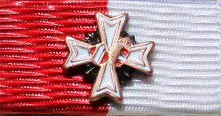LFV Salzburg Ehrenzeichen Stufe 3