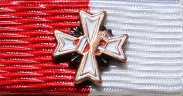 LFV Salzburg Ehrenzeichen Stufe 3
