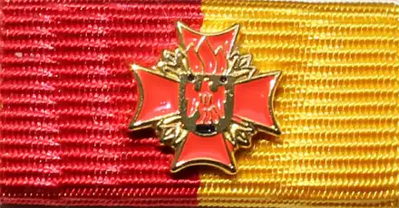 LFV Burgenland Feuerwehr-Verdienstzeichen Gold 