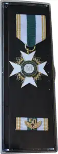 LFV Sachsen Ehrenkreuz 50 Jahre 