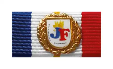 MVP Ehrenzeichen Jugendfeuerwehr gold