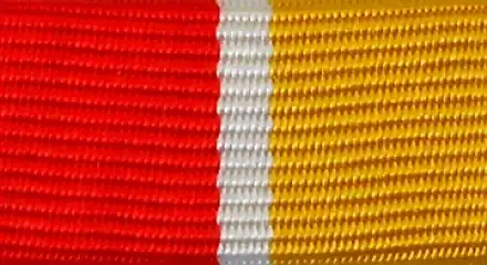 Österreich Burgenland LFV Ehrenmedaille 