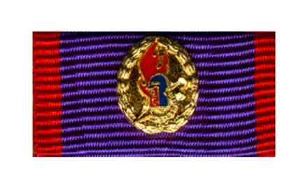 Jugendfeuerwehr-Ehrennadel Gold