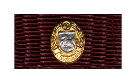 Niedersachsen Feuerwehr-Ehrenzeichen Gold / Silber