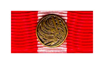 Gedenkmedaille aus Anlass der Waldbrandkatatrophe 1975