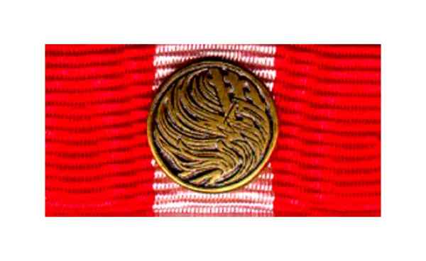 Gedenkmedaille aus Anlass der Waldbrandkatatrophe 1975