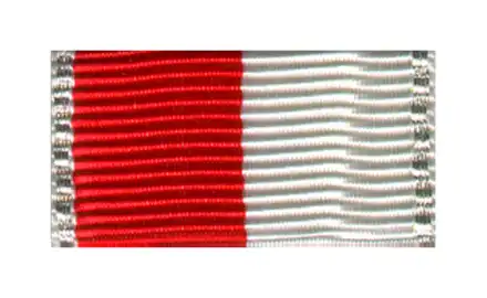 Hamburg Feuerwehr-Ehrenmedaille Silber