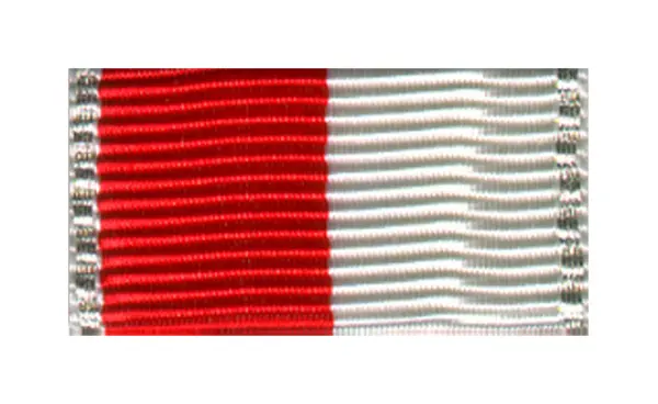 Hamburg Feuerwehr-Ehrenmedaille Silber