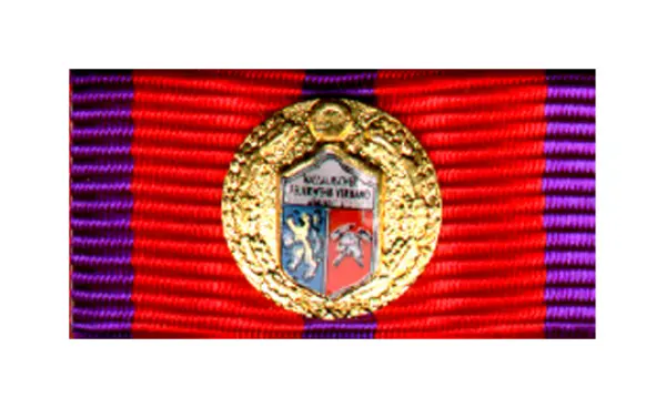 FEZ Nassauischer Feuerwehrverband Gold