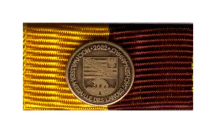 Sachsen - Anhalt Hochwassermedaille 2002